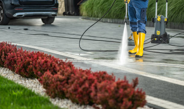 Best Roof Pressure Washing  in Princess Anne, MD